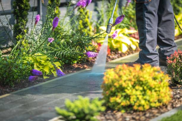 Best Animal Enclosure Cleaning  in Pine Level, AL