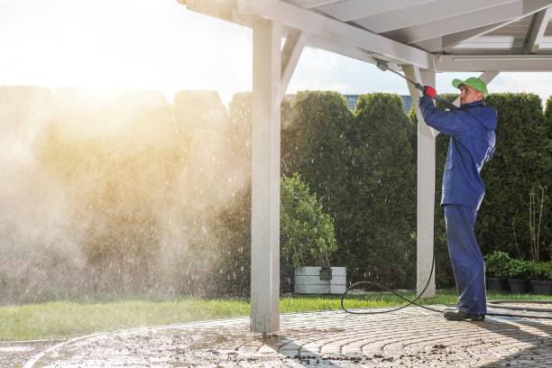 Boat and Dock Cleaning in Pine Level, AL