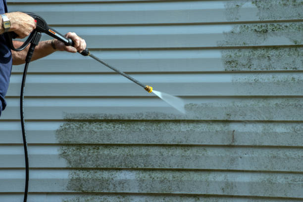 Best Driveway Pressure Washing  in Pine Level, AL